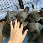 WhatsApp Image 2024-02-05 at 1.32.37 AM