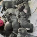 WhatsApp Image 2024-02-05 at 1.32.38 AM (1)