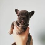 WhatsApp Image 2024-02-05 at 1.32.39 AM