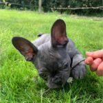 WhatsApp Image 2024-02-05 at 1.32.40 AM (1)