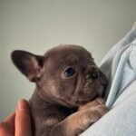 WhatsApp Image 2024-02-05 at 1.32.40 AM