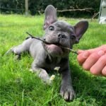 WhatsApp Image 2024-02-05 at 1.32.40 AM (2)