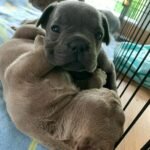 WhatsApp Image 2024-02-05 at 1.32.41 AM (1)