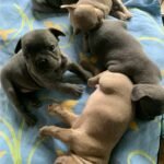 WhatsApp Image 2024-02-05 at 1.32.42 AM