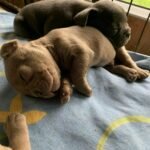 WhatsApp Image 2024-02-05 at 1.32.42 AM (2)