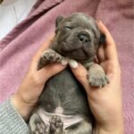 WhatsApp Image 2024-02-05 at 1.32.43 AM (1)