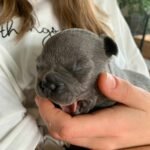 WhatsApp Image 2024-02-05 at 1.32.43 AM